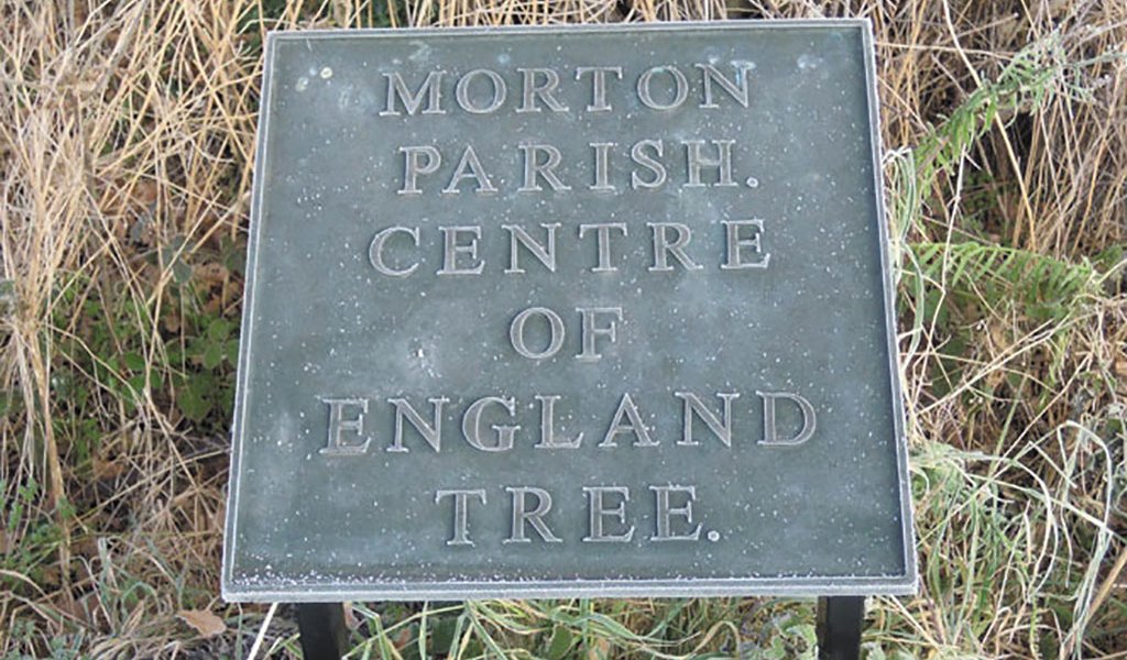 Morton-tree-plaque
