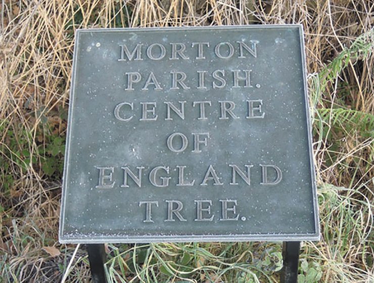 Morton-tree-plaque