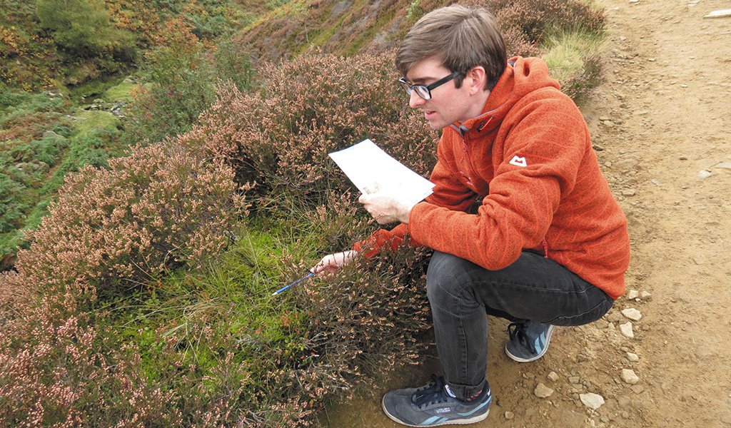 joe-margetts-searching-for-sphagnum
