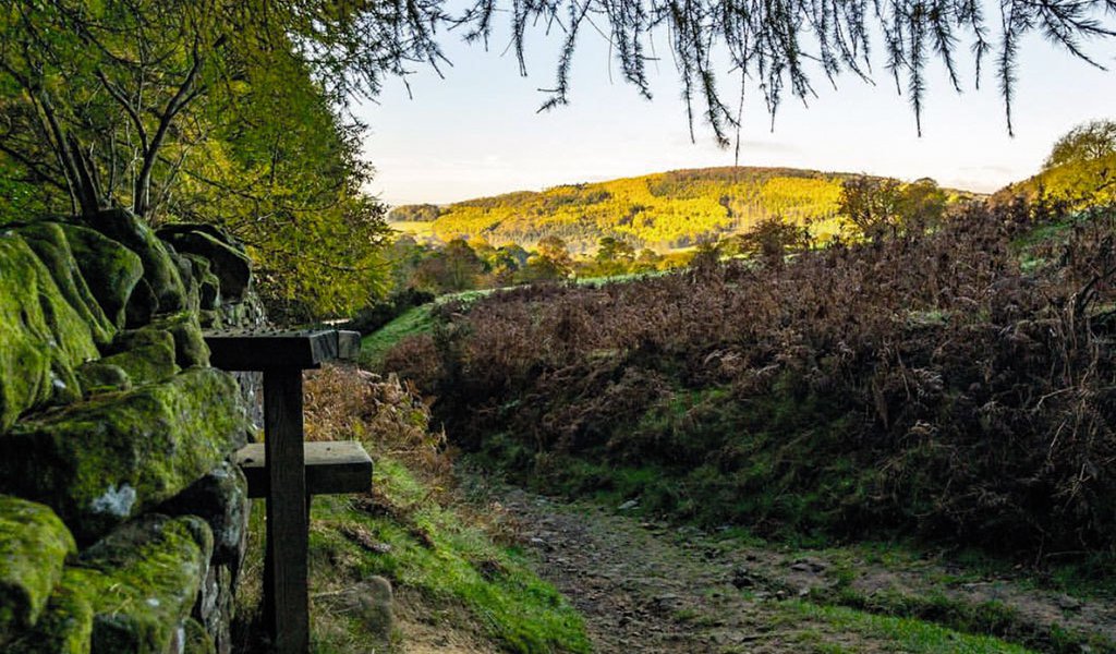 Beeley-by-@andyjgillphotography-1rgb