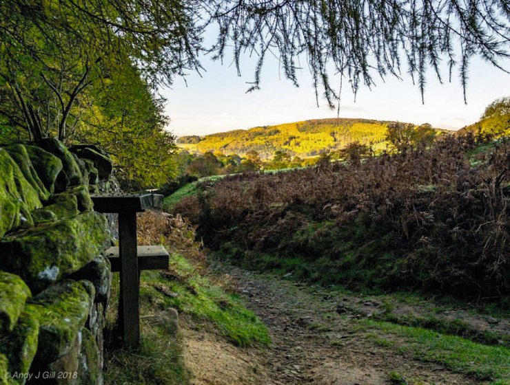Beeley-by-@andyjgillphotography-1rgb