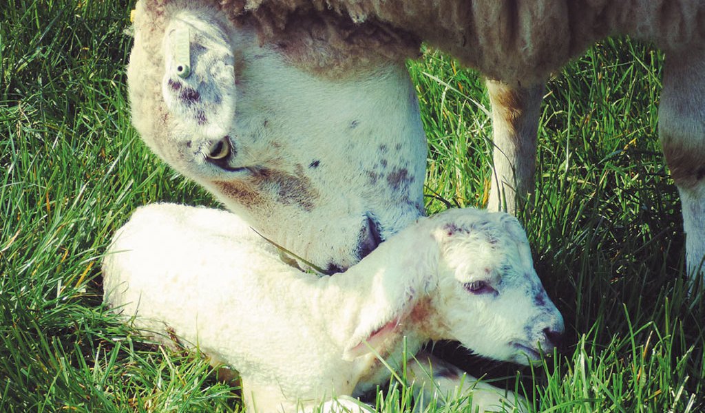 Capture-the-Seasons-photography-competition