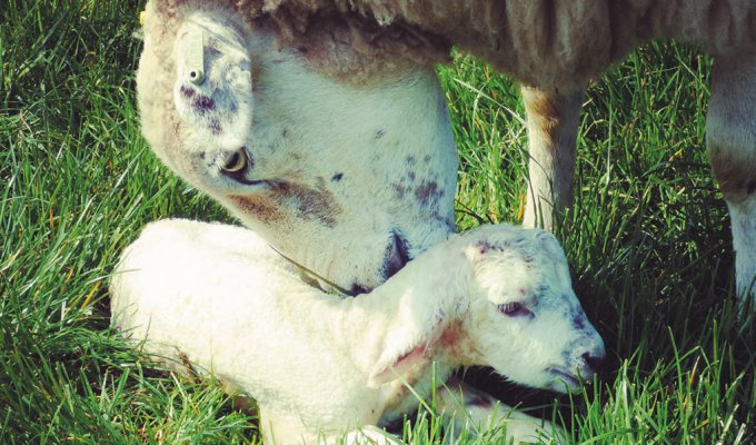 Capture-the-Seasons-photography-competition