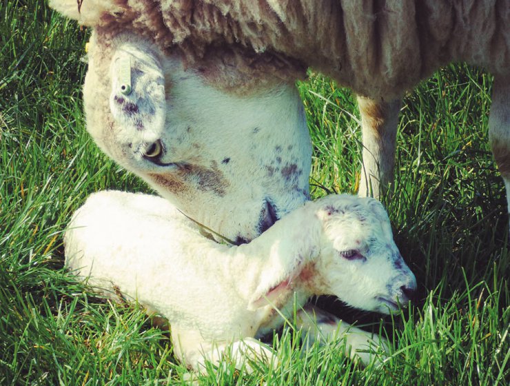 Capture-the-Seasons-photography-competition