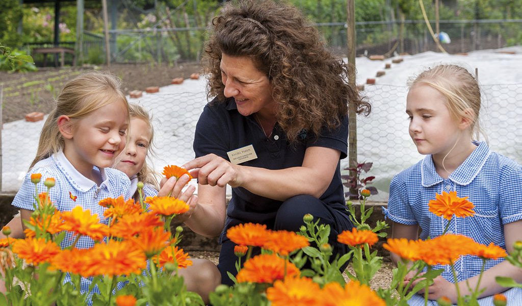 STEAM Learning Destination