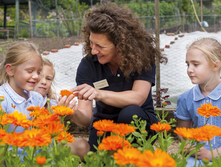 STEAM Learning Destination