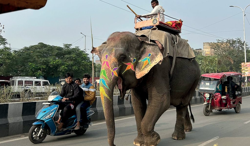 An elephant, a motor bike and a tuk-tuk share this Indian road.