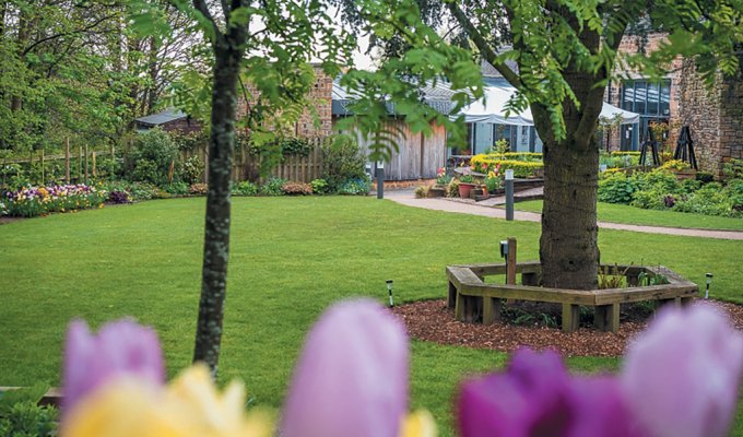 A new garden to enjoy: Dronfield Heritage Centre garden, which opens under the NGS on April 21