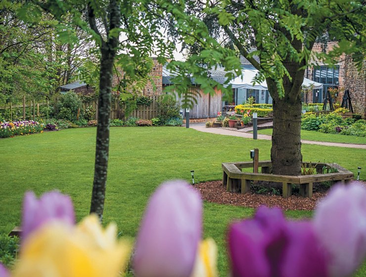 A new garden to enjoy: Dronfield Heritage Centre garden, which opens under the NGS on April 21