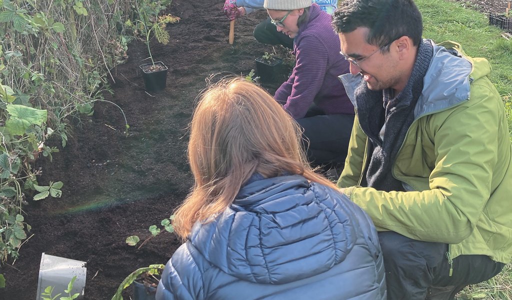 Earthed Up! Planting