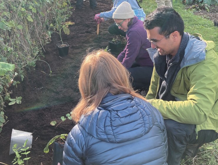 Earthed Up! Planting