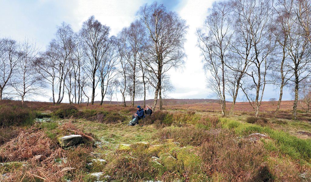 Above: The remains of the larger of the two medieval longhouses which once stood in Mitchell Field. Could it have been the home of Brother Lawrence? Picture by Brian Smith.