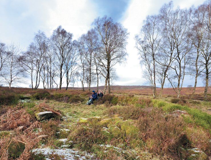 Above: The remains of the larger of the two medieval longhouses which once stood in Mitchell Field. Could it have been the home of Brother Lawrence? Picture by Brian Smith.