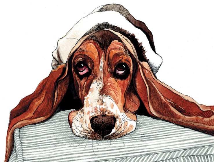 An illustration of Jesse.