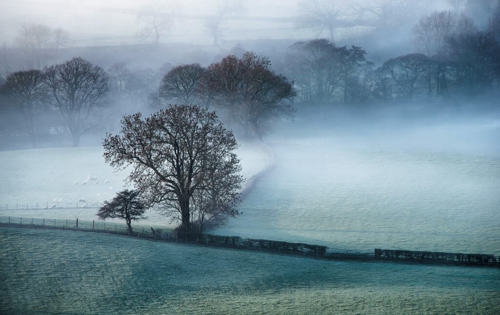 A mist inversion on the Chatsworth Estate.
