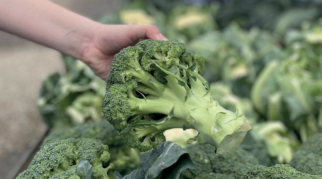 Choosing vegetables from Joby’s trailer