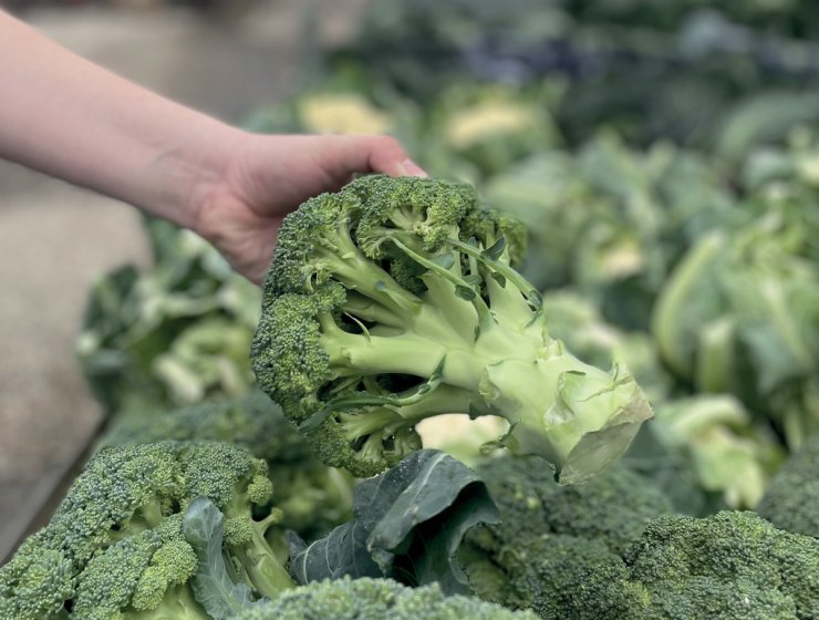 Choosing vegetables from Joby’s trailer