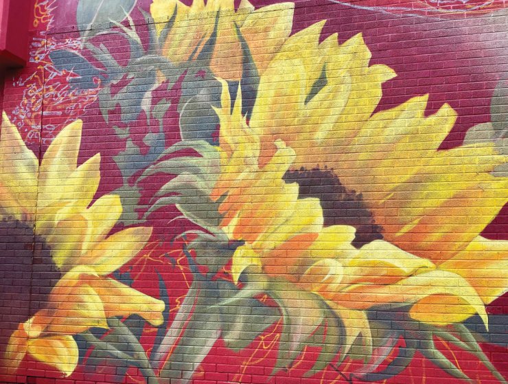 Sunflowers are among the diverse items sold on Chesterfield’s markets