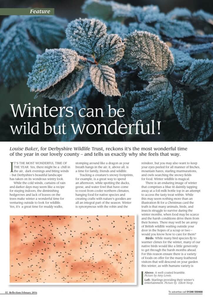 Reflections Magazine February Feature 2016