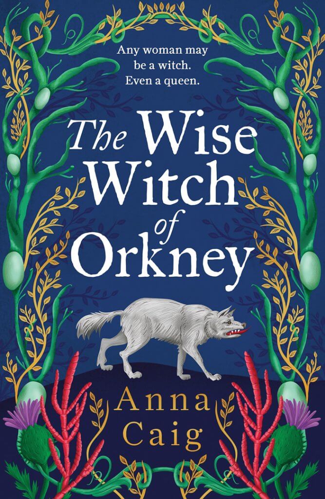 The Wise Witch of Orkney book cover