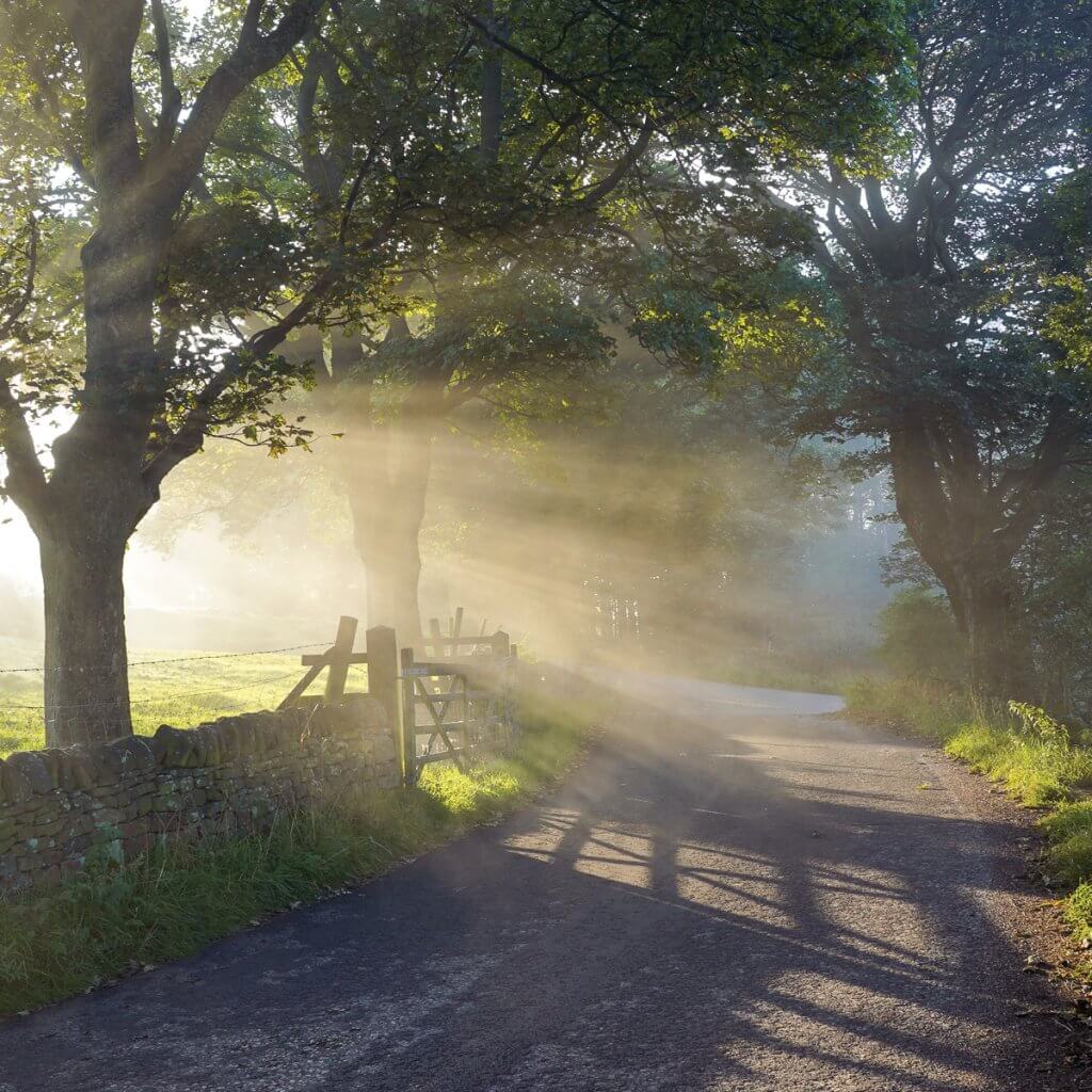 Light on the lane by Peaklass