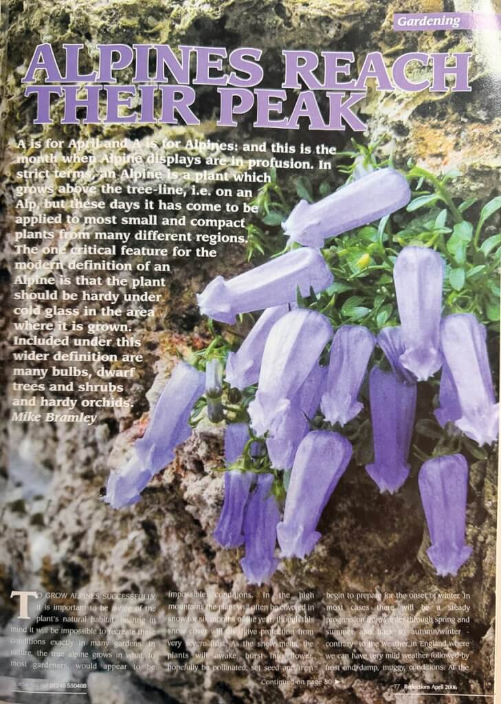 Reflections Magazine 2006