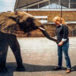 Pat and her elephant friend searching for treats!