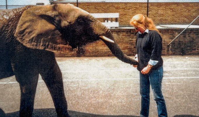 Pat and her elephant friend searching for treats!