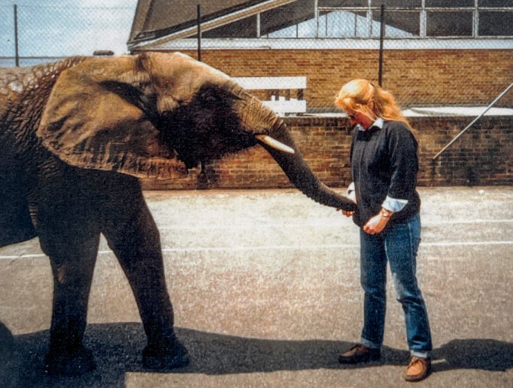Pat and her elephant friend searching for treats!