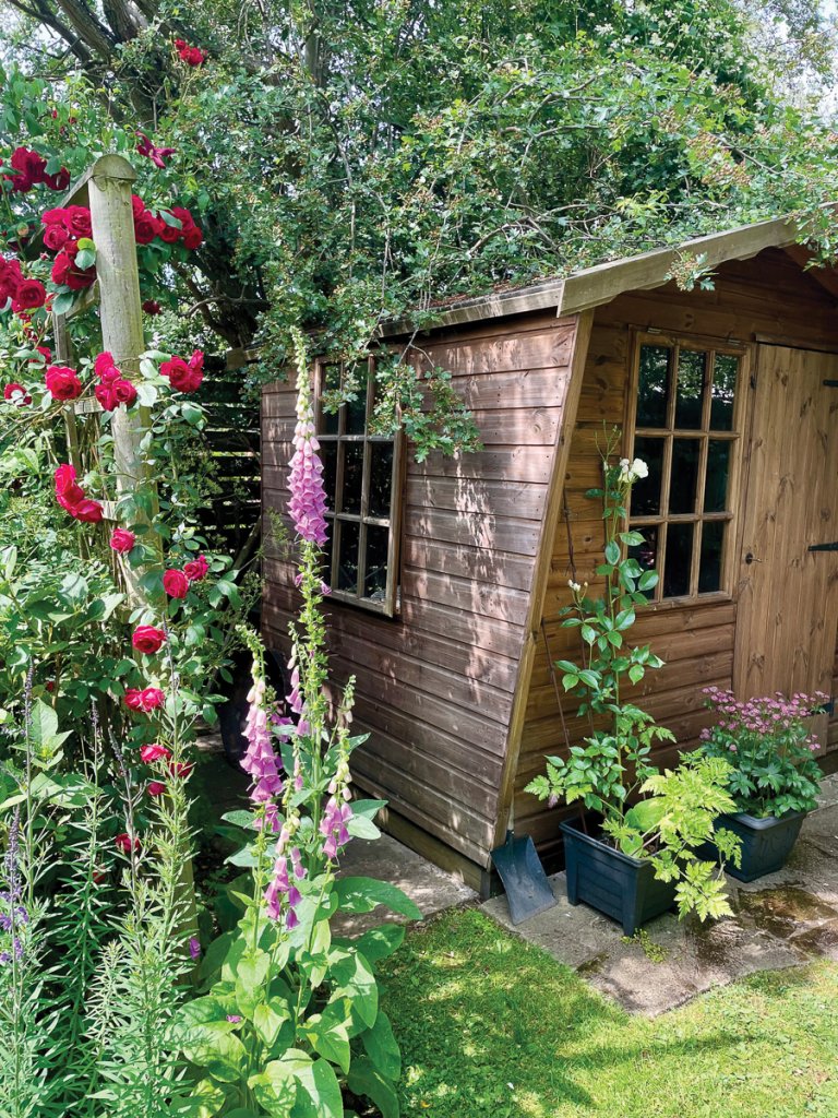 The garden at
330 Old Road, Chesterfield