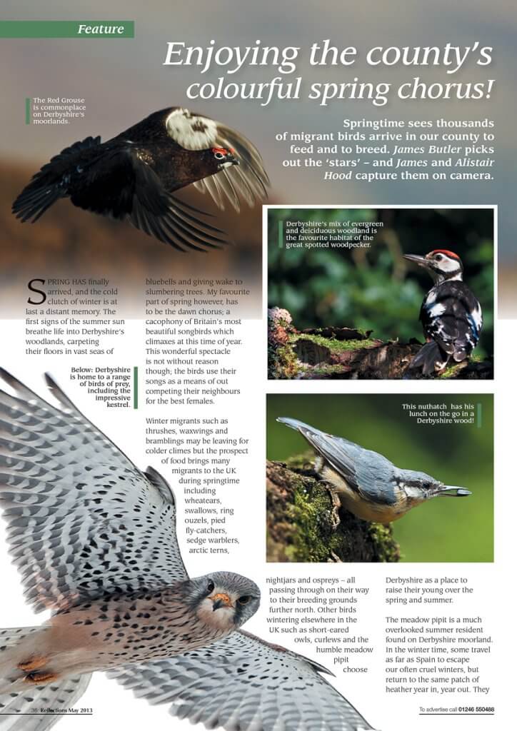 Reflections Magazine may 2013