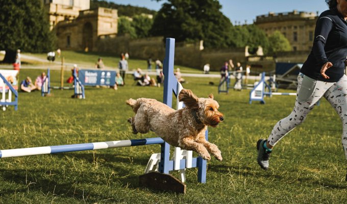 Best in Show Chatsworth Country Fair - Chatsworth House Trust