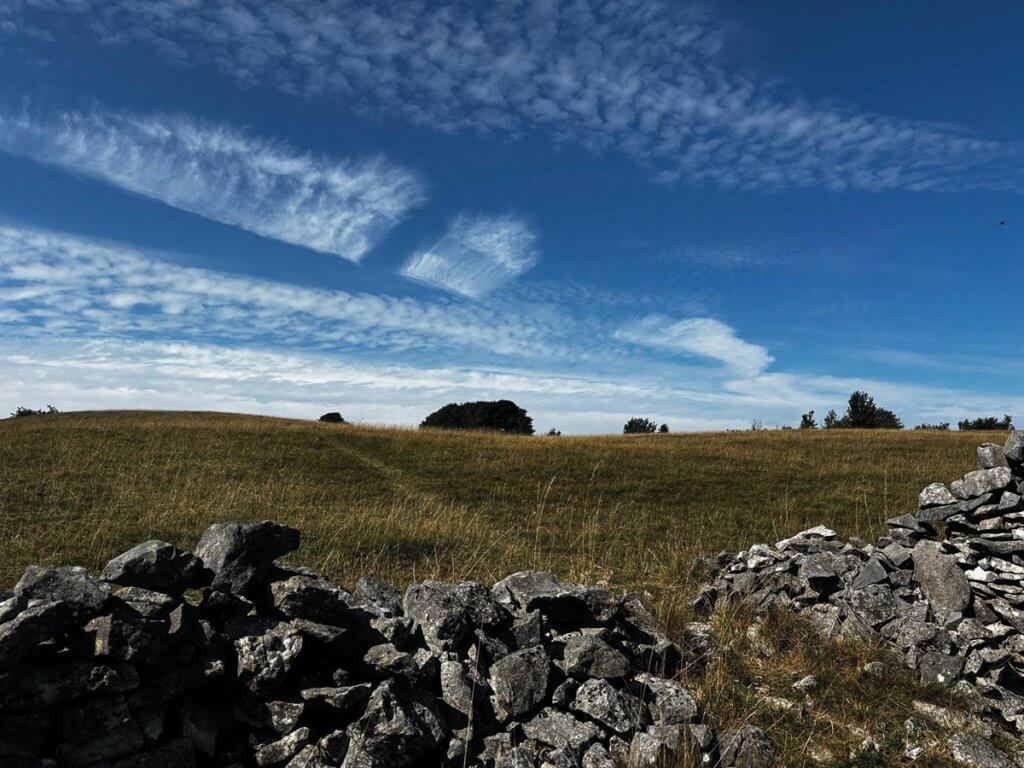 Middleton Moor. Picture: Jo Smith