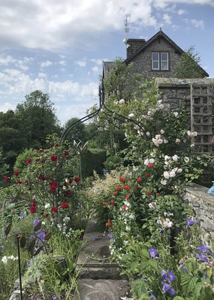 The garden at 49 Middle Row, Cressbrook