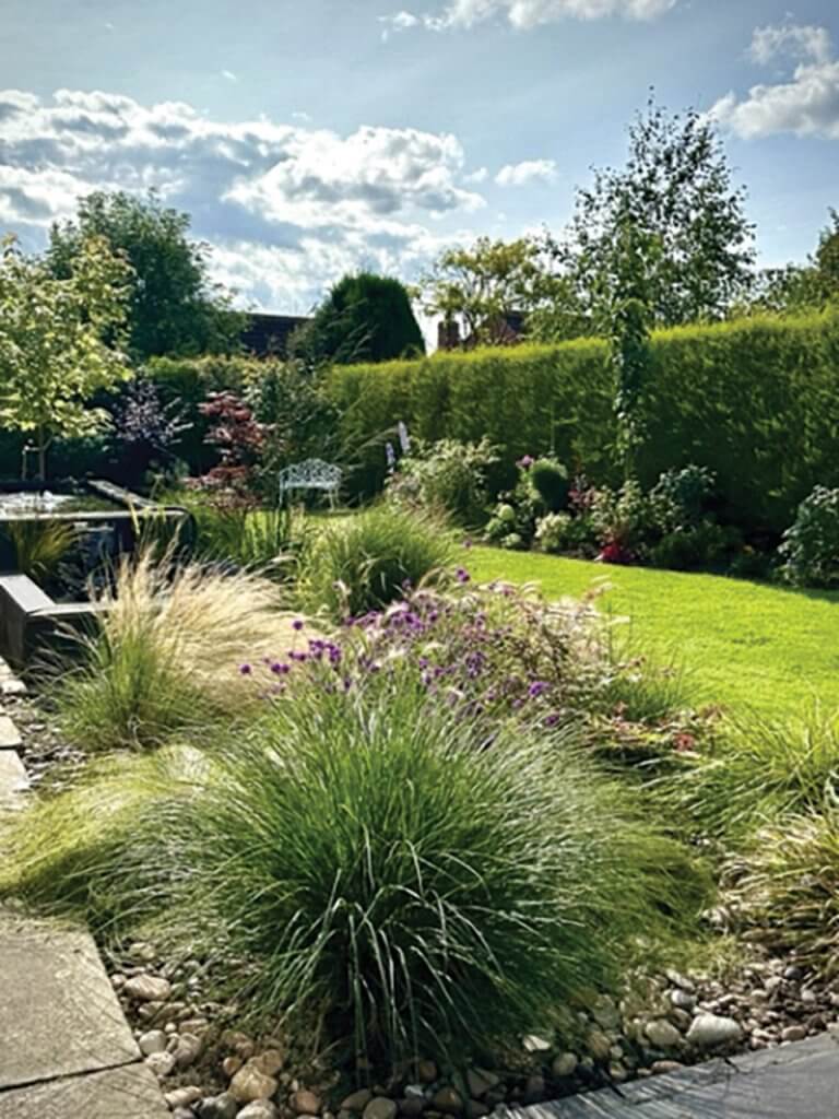 A Barlborough garden