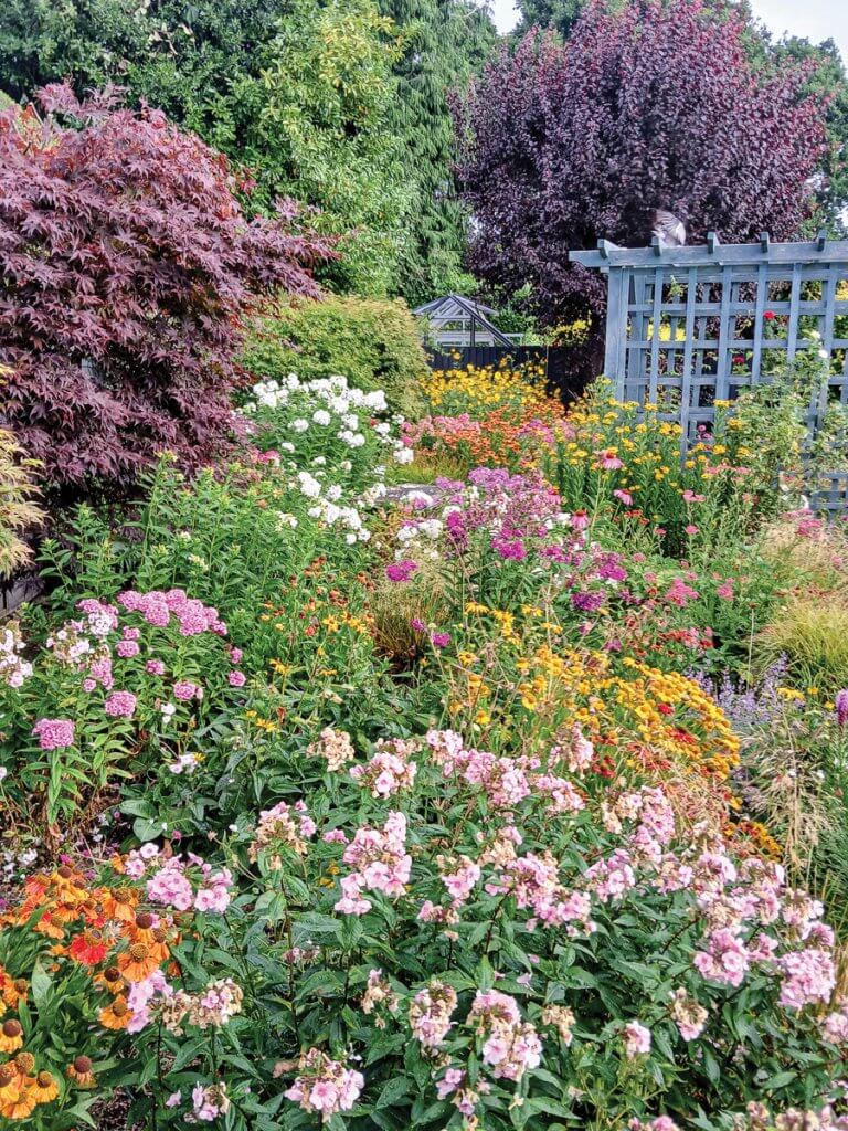 The colourful garden at Byways