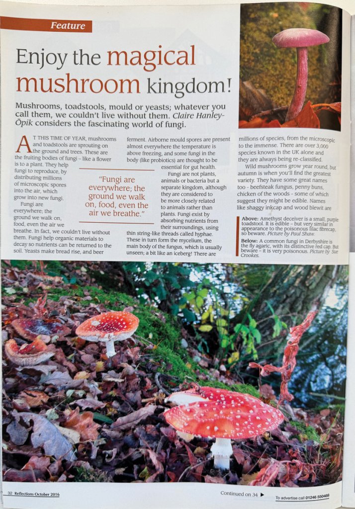 Reflections Magazine October 2016