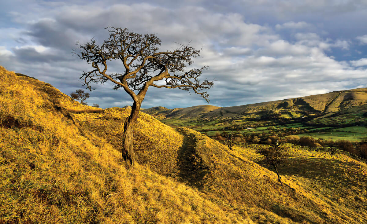 On Broadlee Bank Tor This wonderfully gnarled tree is located in the Edale Valley near the hamlet of Barber Booth and has the hills of the Peakland Ridge for company in the background.